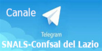 canale telegram 